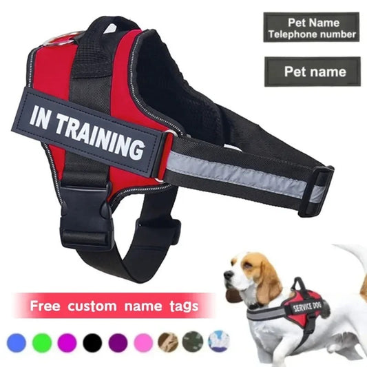 Personalized no pull dog harness