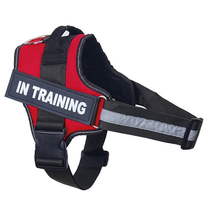 Personalized no pull dog harness