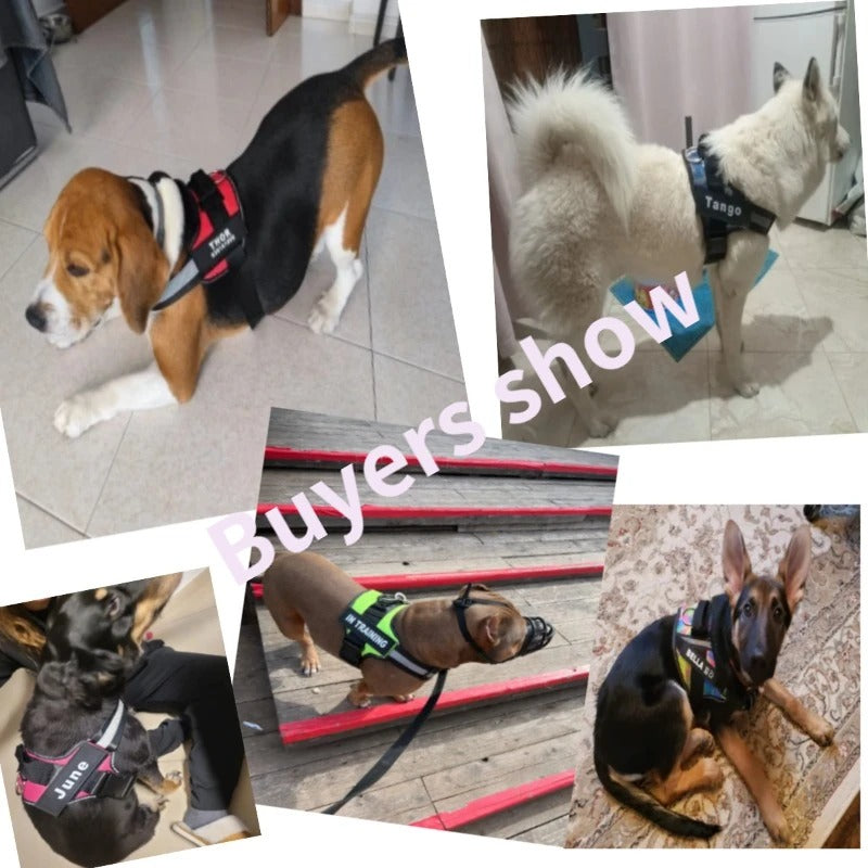 Personalized no pull dog harness