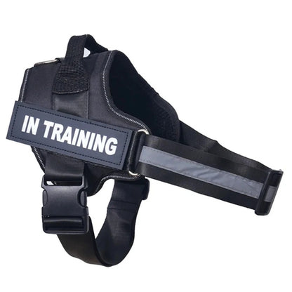 Personalized no pull dog harness